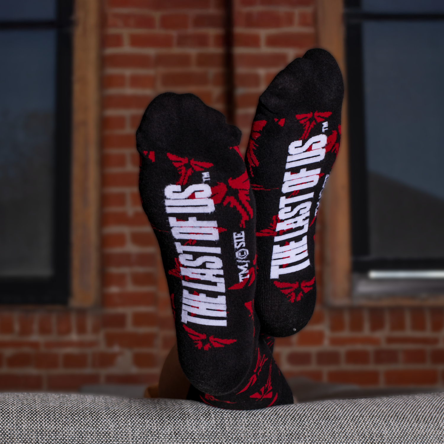 Look For The Light crew socks