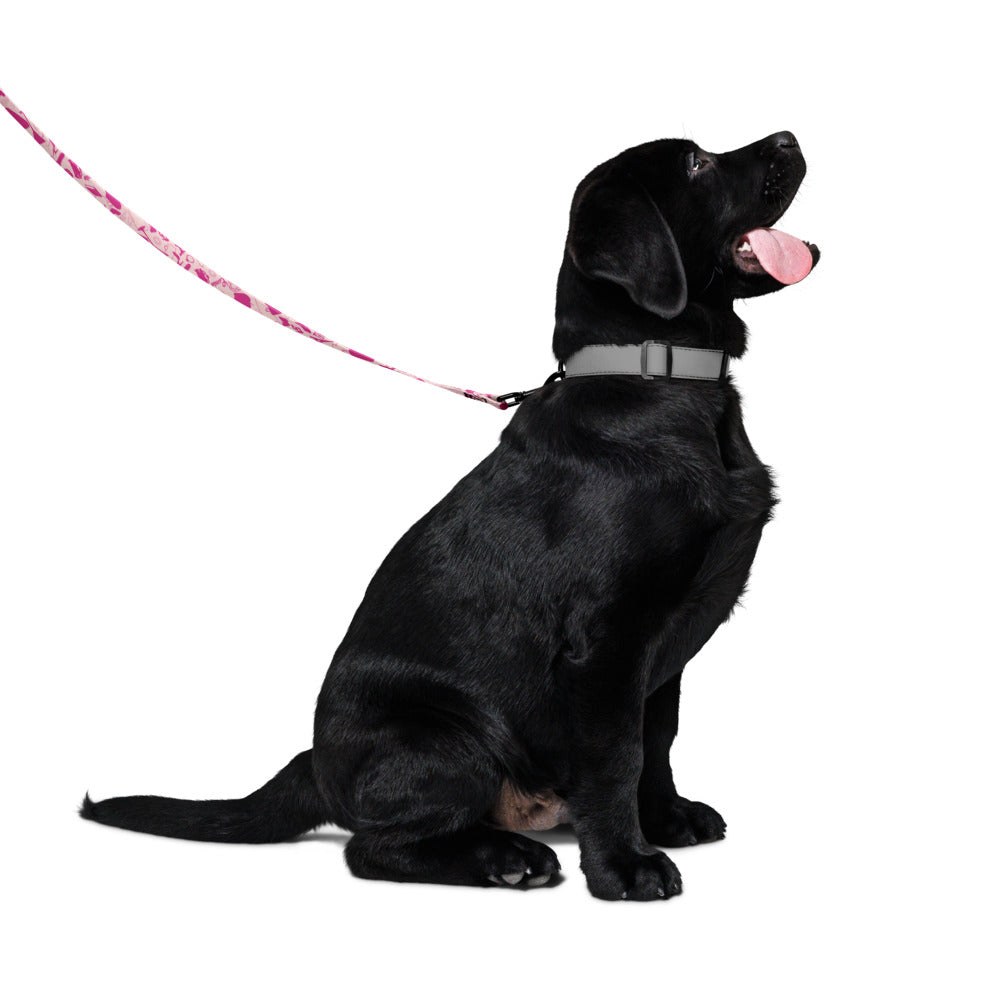 Sex and the City Icons Pet Collar – HBO Shop